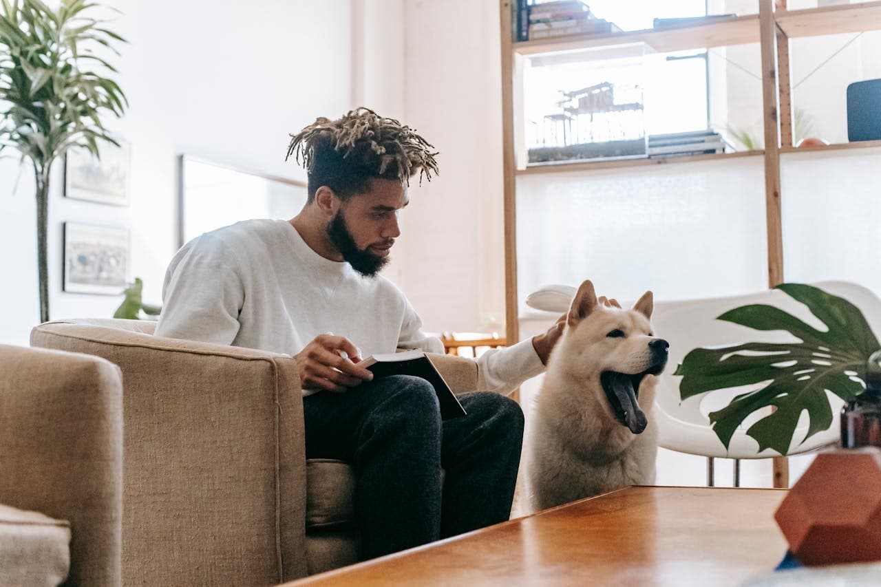 Pet Sitter vs. Hotel para Pets em 2026: qual é melhor para seu animal?